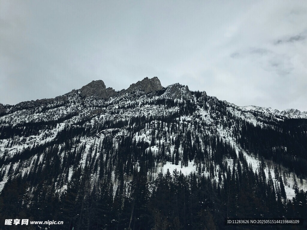 雪山森林景觀