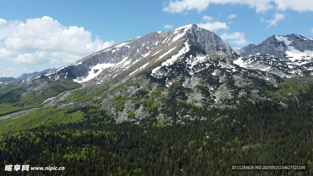 壯麗雪山與蔥郁山林景觀