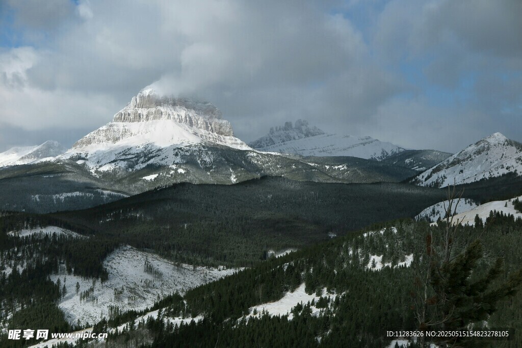 雪山森林壯麗自然景觀