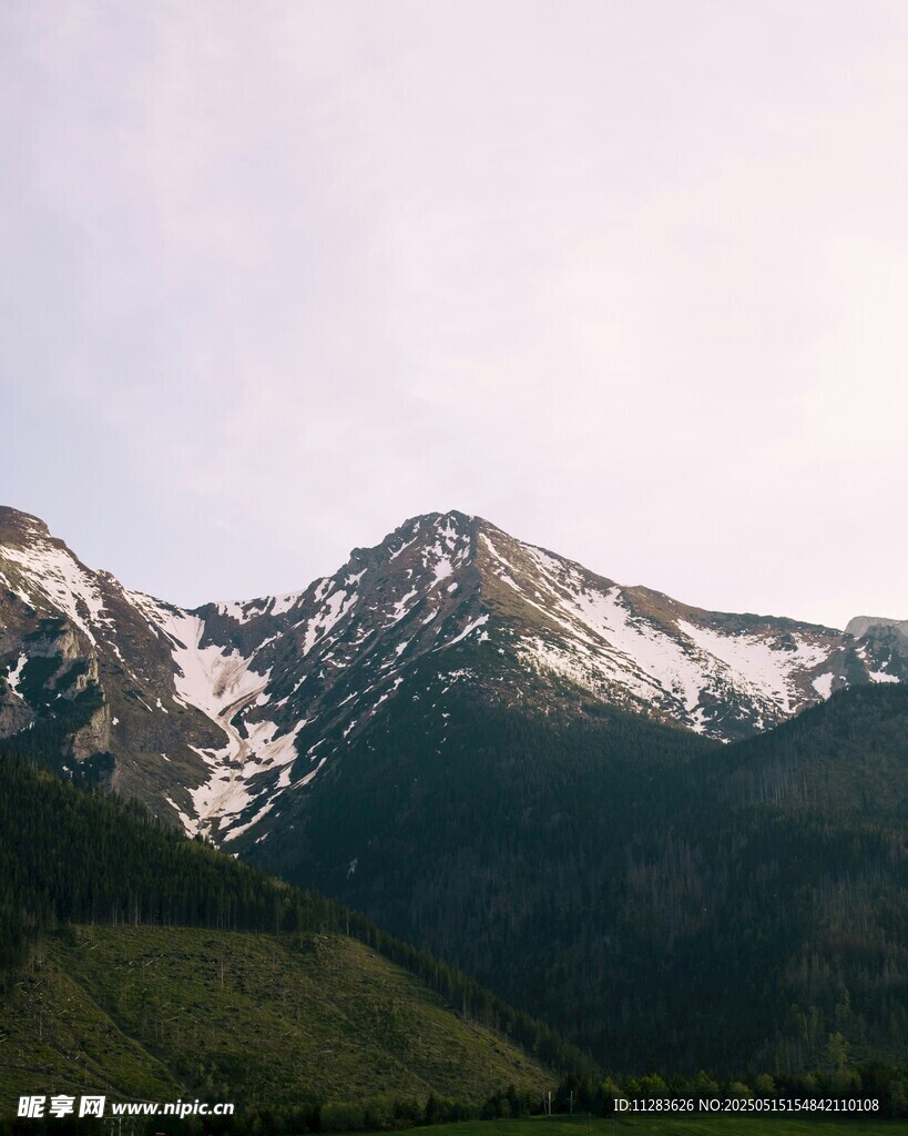 雪山綠意美景