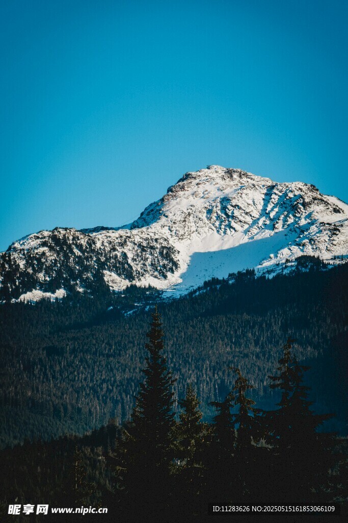 雪山遠景 山林相伴