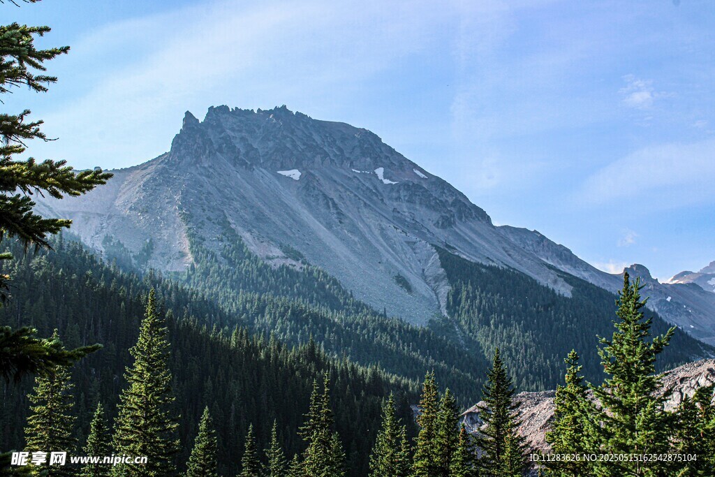 巍峨山巒與蔥郁森林景觀