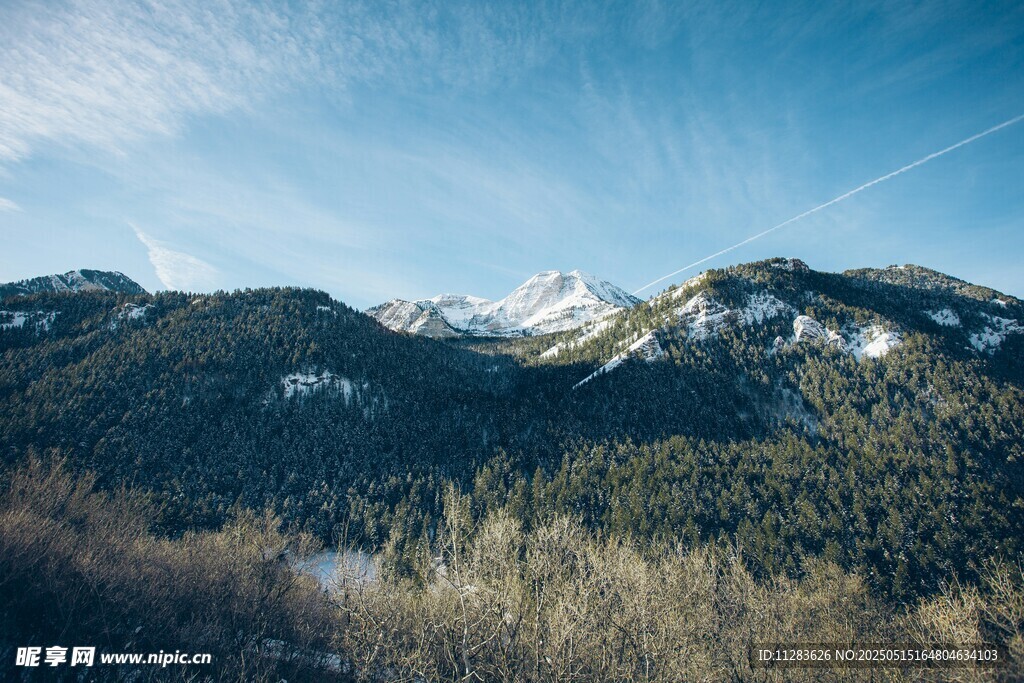 雪山下的蔥郁山林