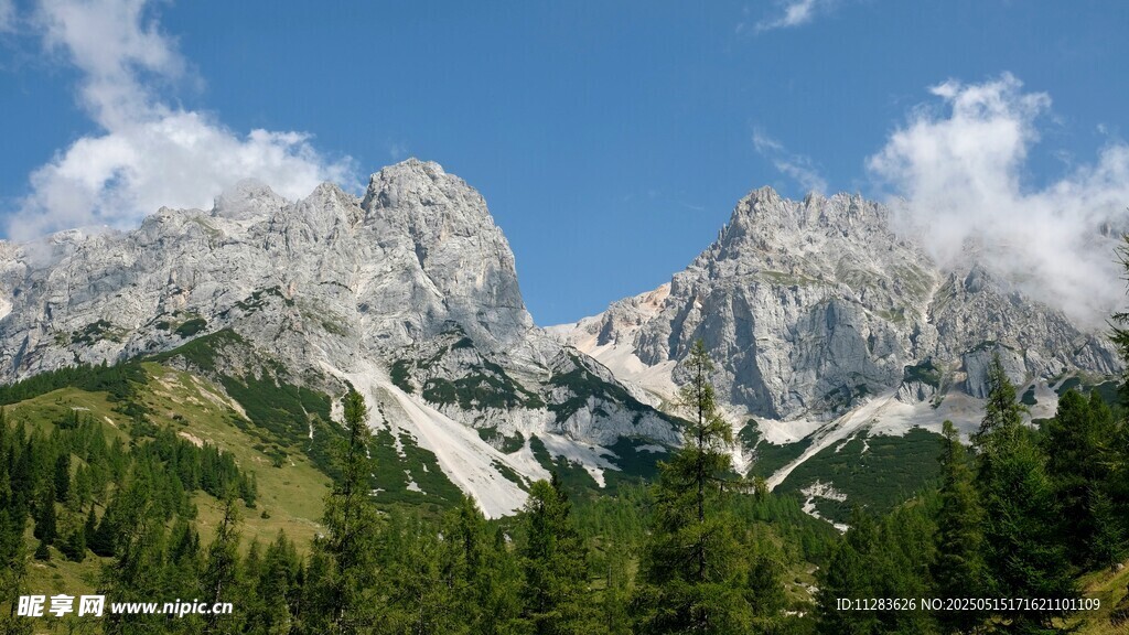 壯麗高山與蔥郁森林景觀