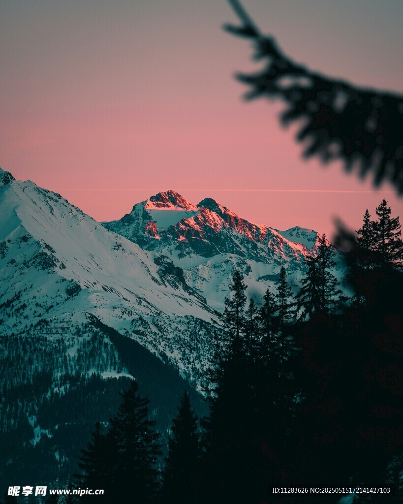 雪山夕照 山林剪影