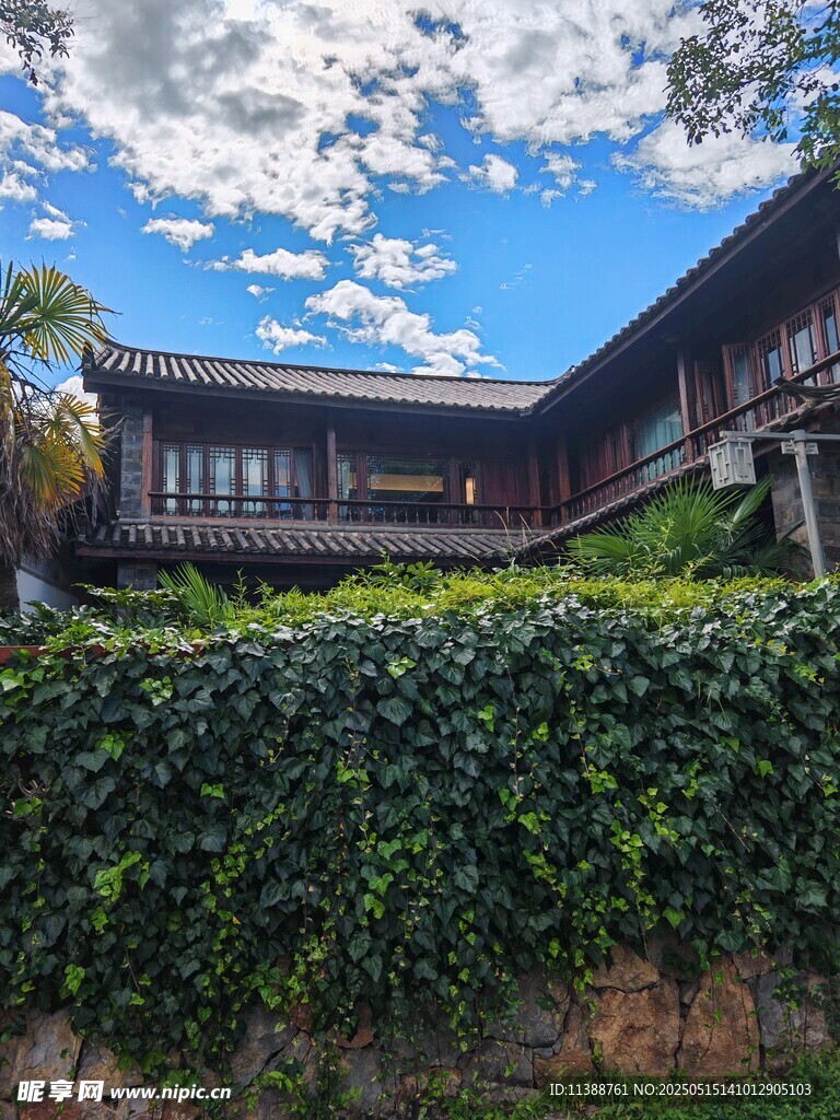 綠植環繞的精美別墅外觀