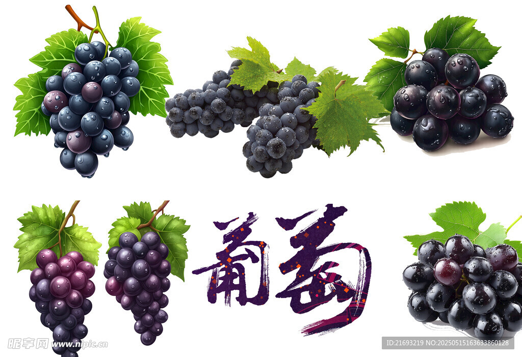 葡萄插畫(huà)
