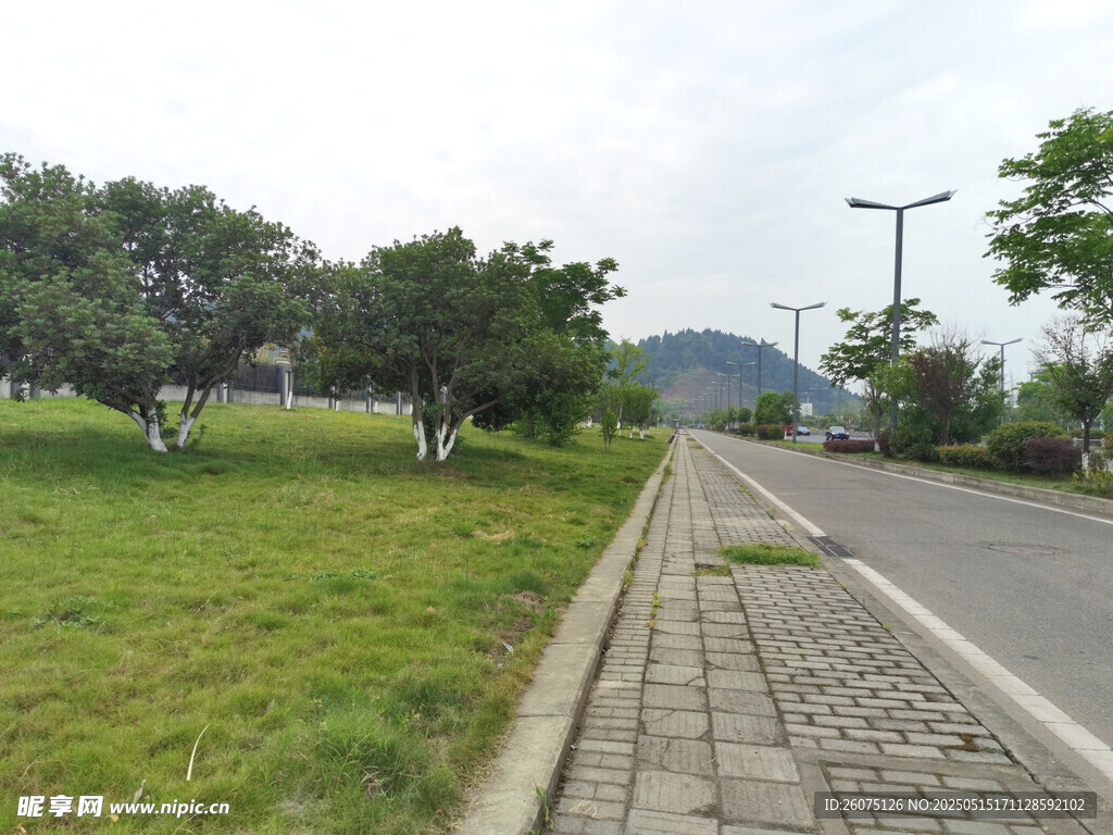 城郊道路
