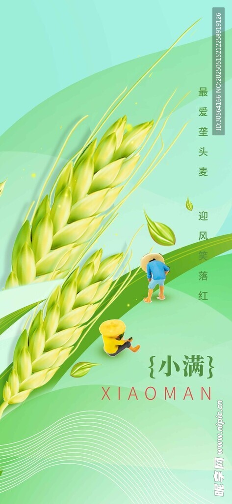 小滿節氣海報