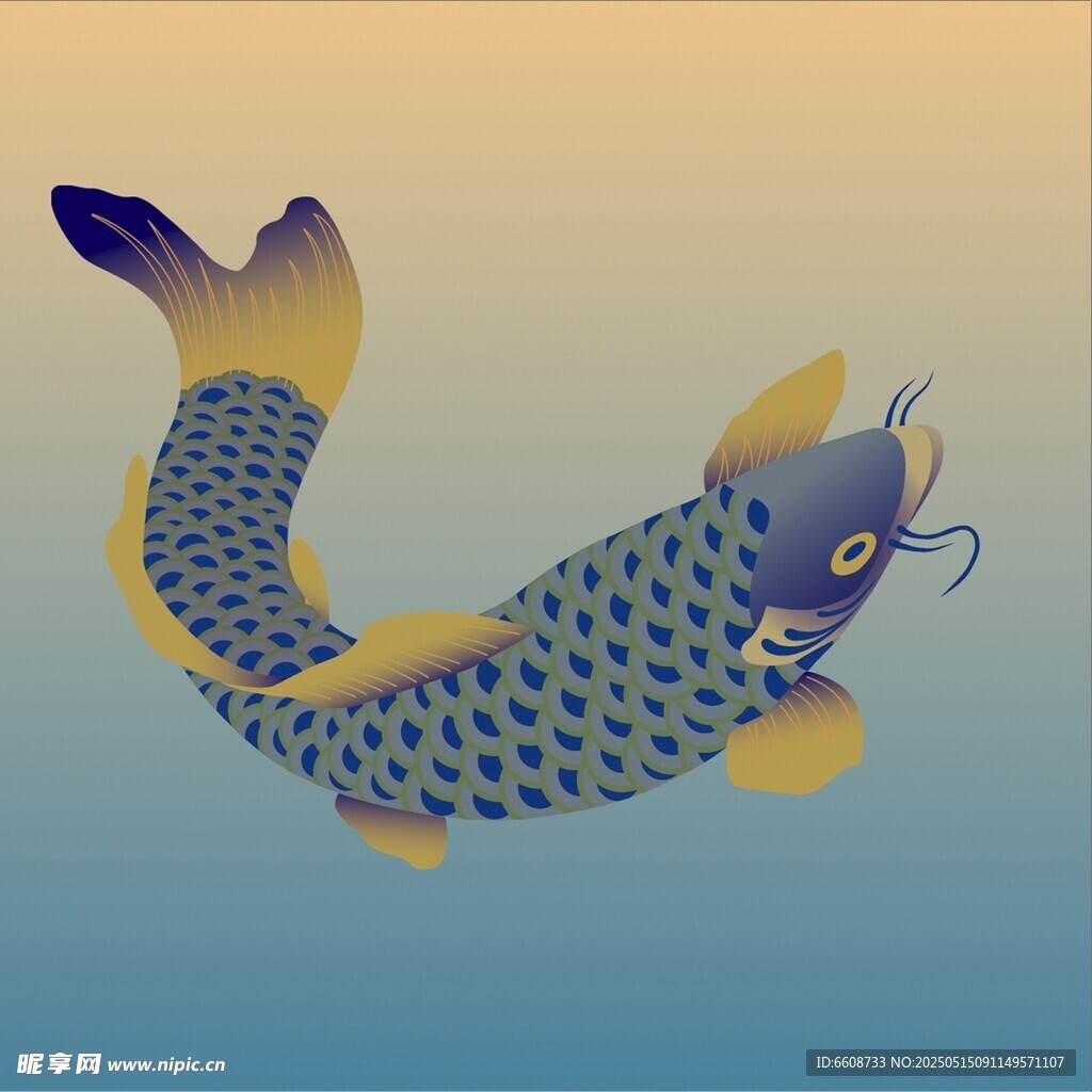 藍色斑點錦鯉插畫