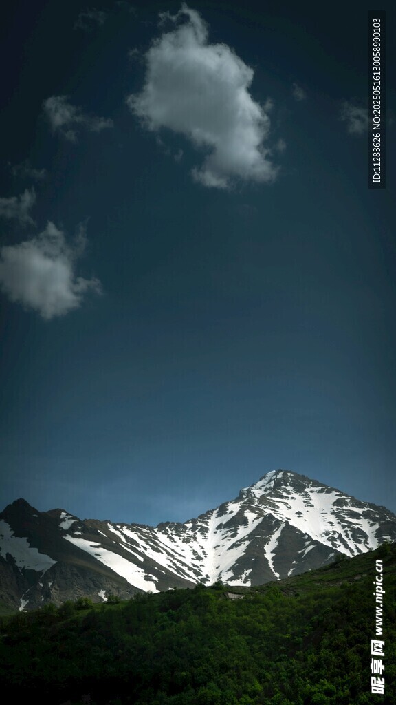 壯麗雪山與藍天綠樹景觀