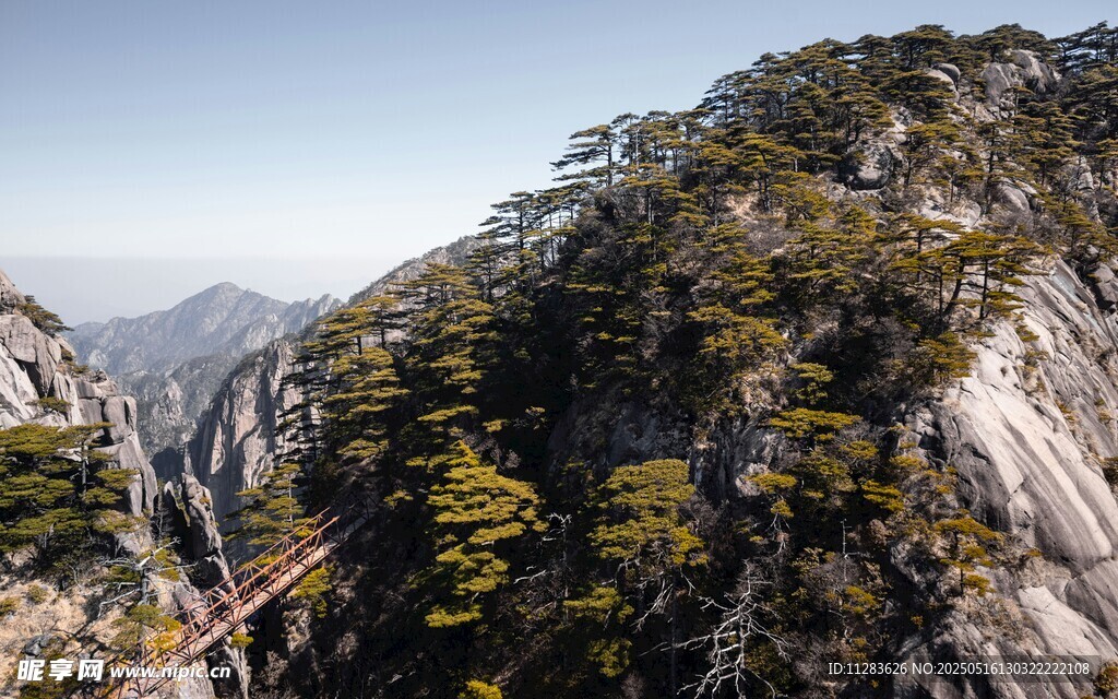 峻峭山峰上的蔥郁植被