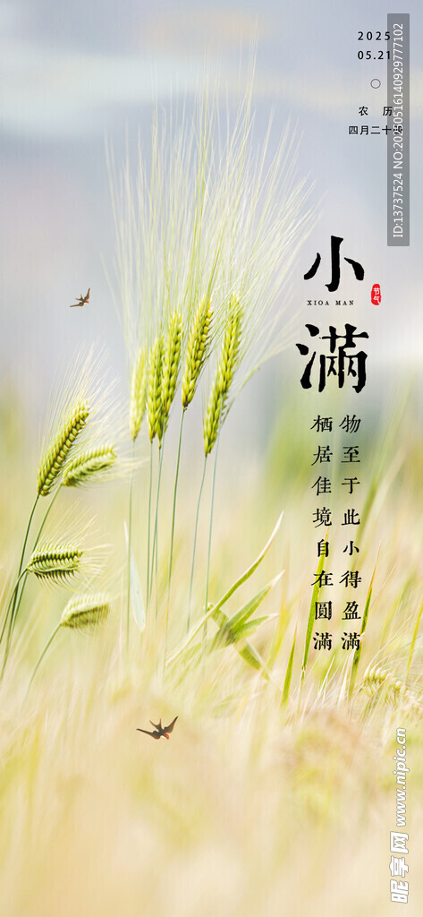 小滿