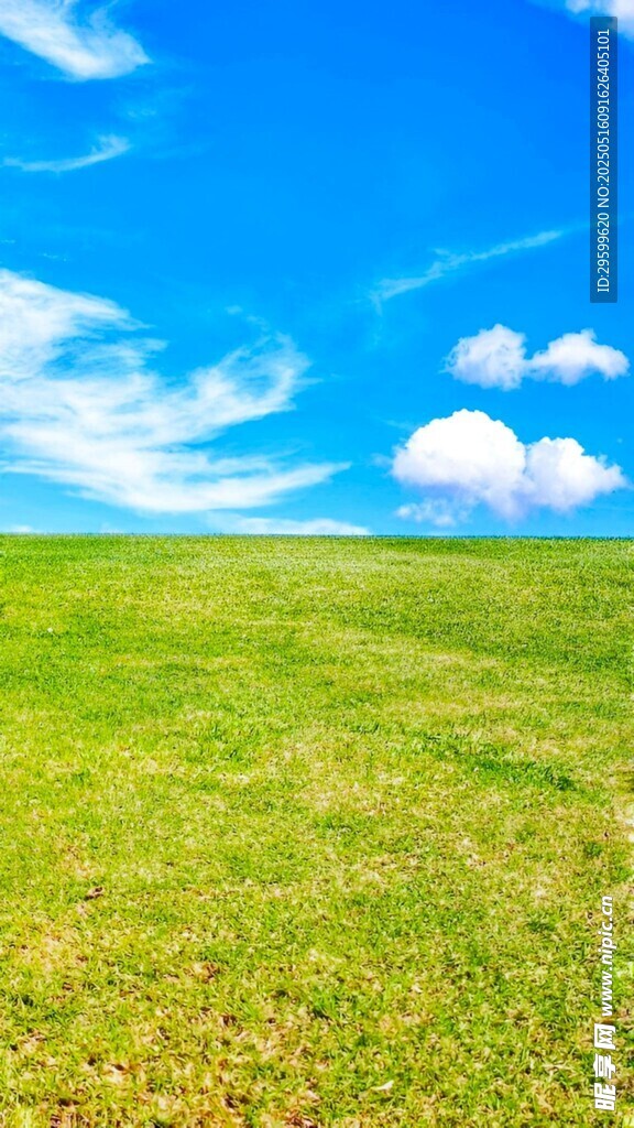 綠草地與藍天白云