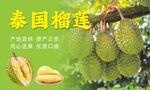 泰國(guó)榴蓮