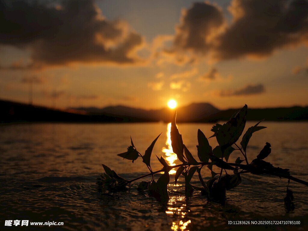 夕陽下水面上的船只剪影