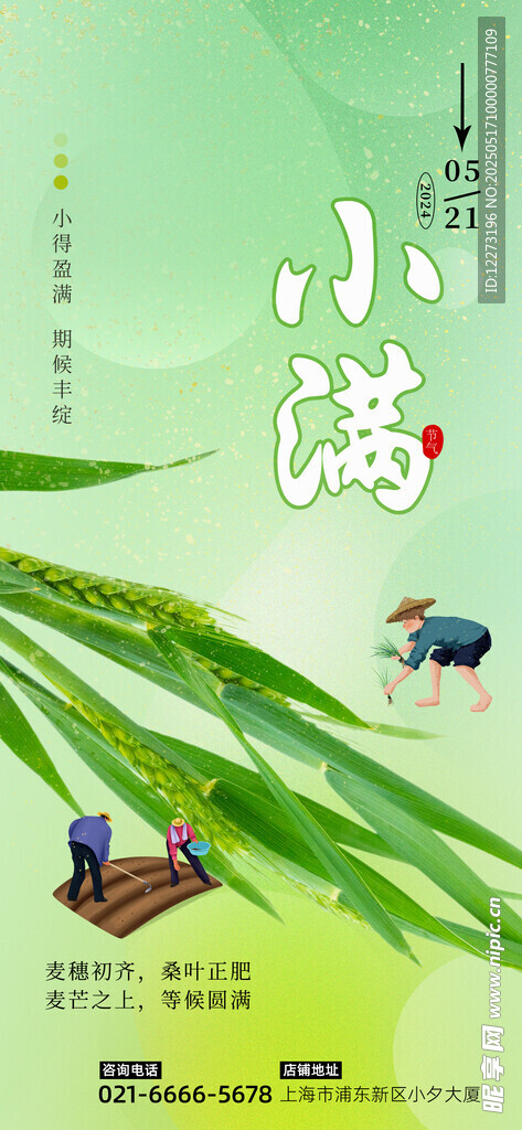 小滿時節(jié)田園景象