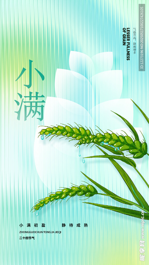 小滿時節麥穗插畫