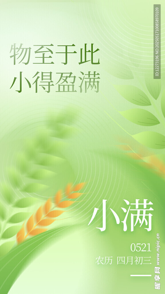 小滿時節麥穗初盈