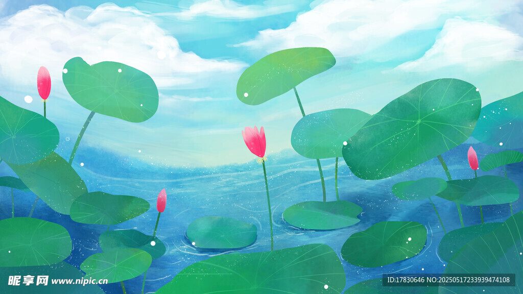 夏日荷塘美景