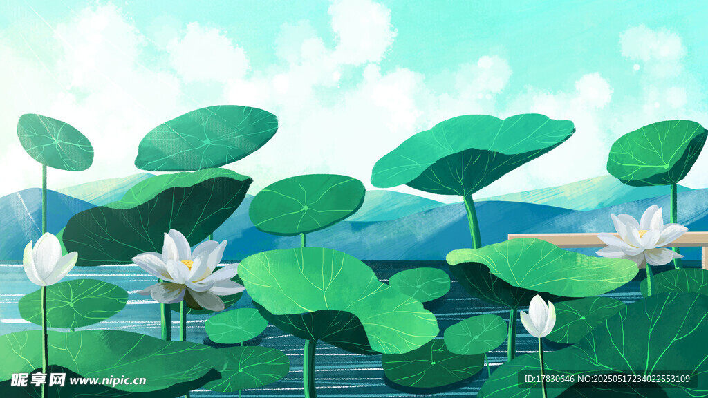 夏日荷塘美景