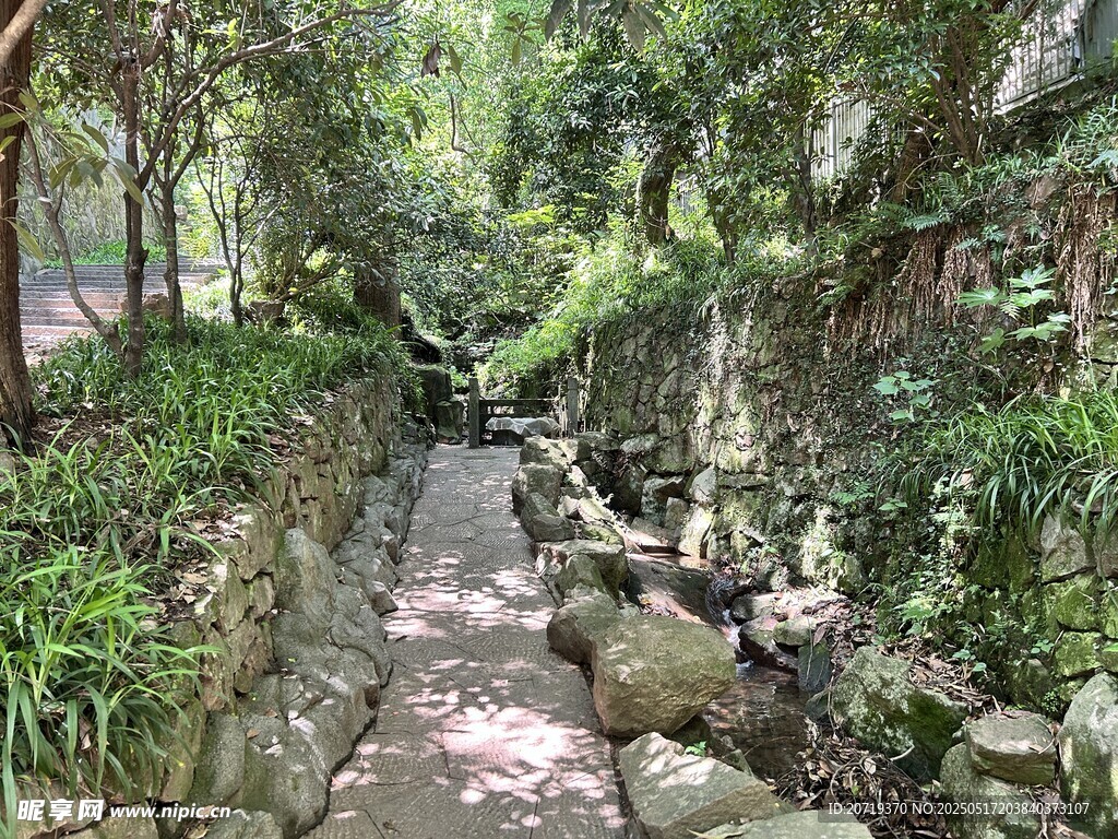 抱樸道院
