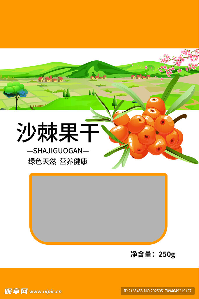 沙棘