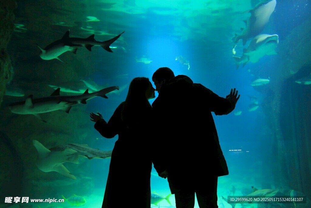 水族館中情侶浪漫剪影