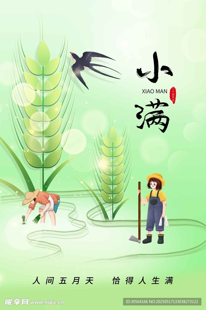 小滿節(jié)氣海報