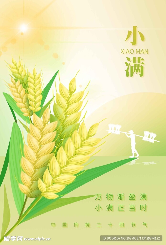小滿節(jié)氣海報