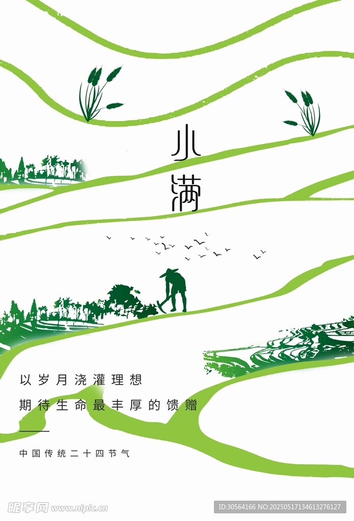 小滿節氣海報
