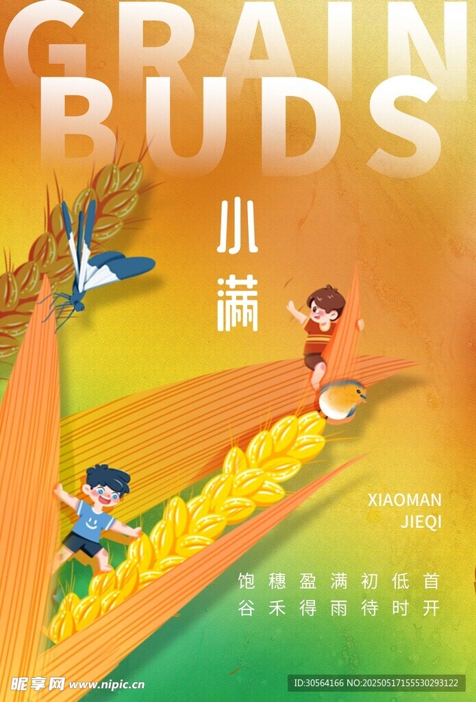 小滿節氣海報