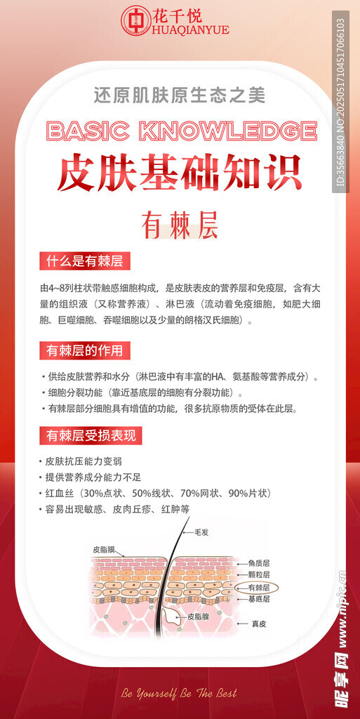 皮膚基礎知識