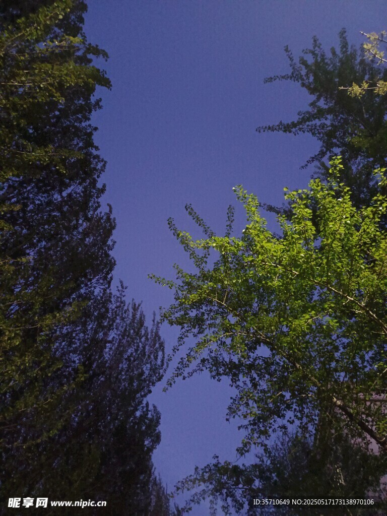 藍天綠樹間的自然景致
