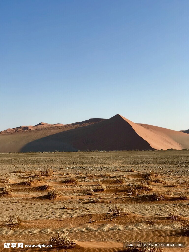 廣袤沙漠景觀