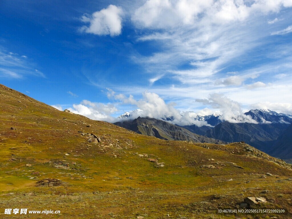 高山草原藍天白云美景