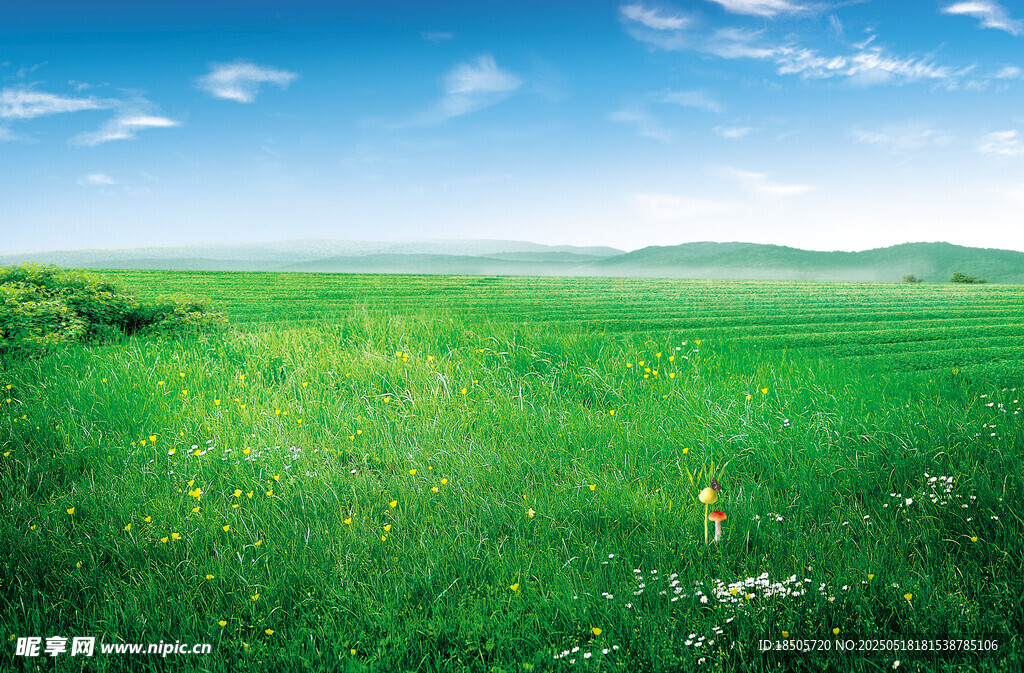 綠野藍天美景