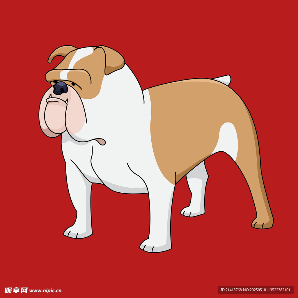 站立的斗牛犬插畫(huà)