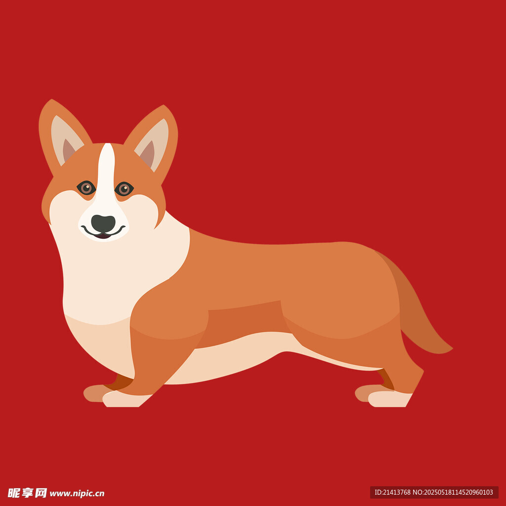 可愛柯基插畫
