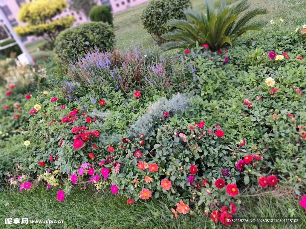 園中小花