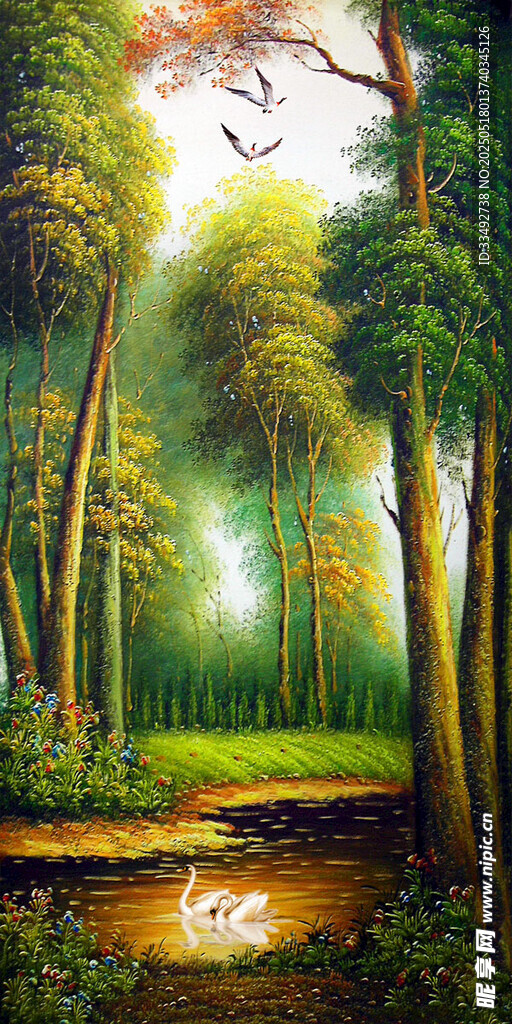 森林中的靜謐溪流美景