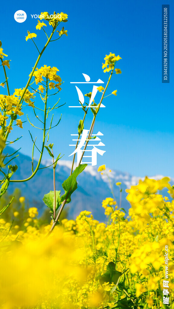 立春