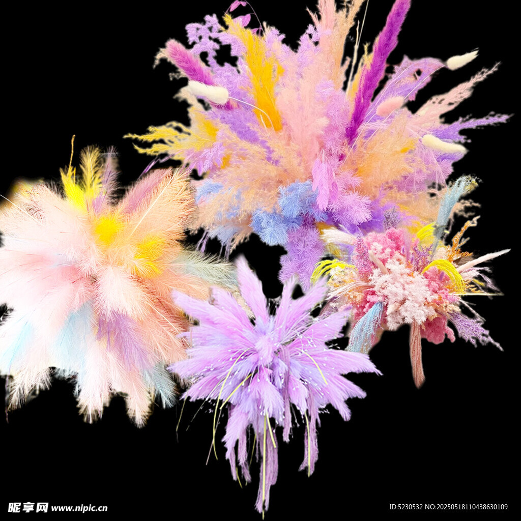 煙花素材
