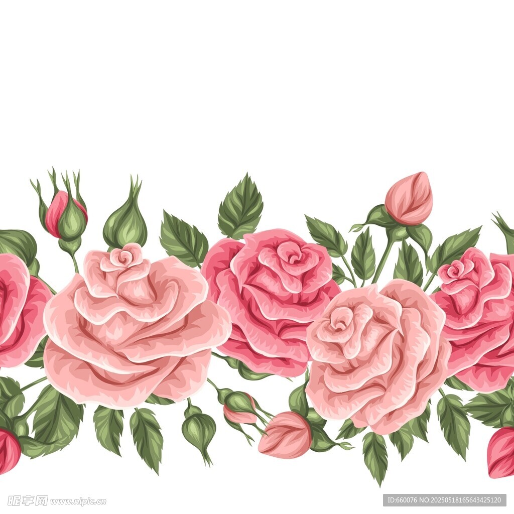 玫瑰 花朵 圖案 背景 矢量 
