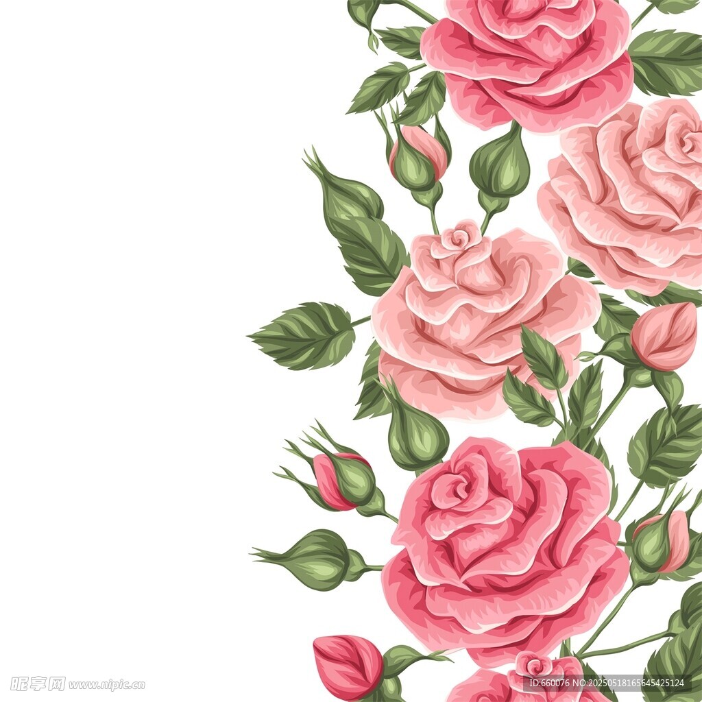 玫瑰 花朵 圖案 背景 矢量 