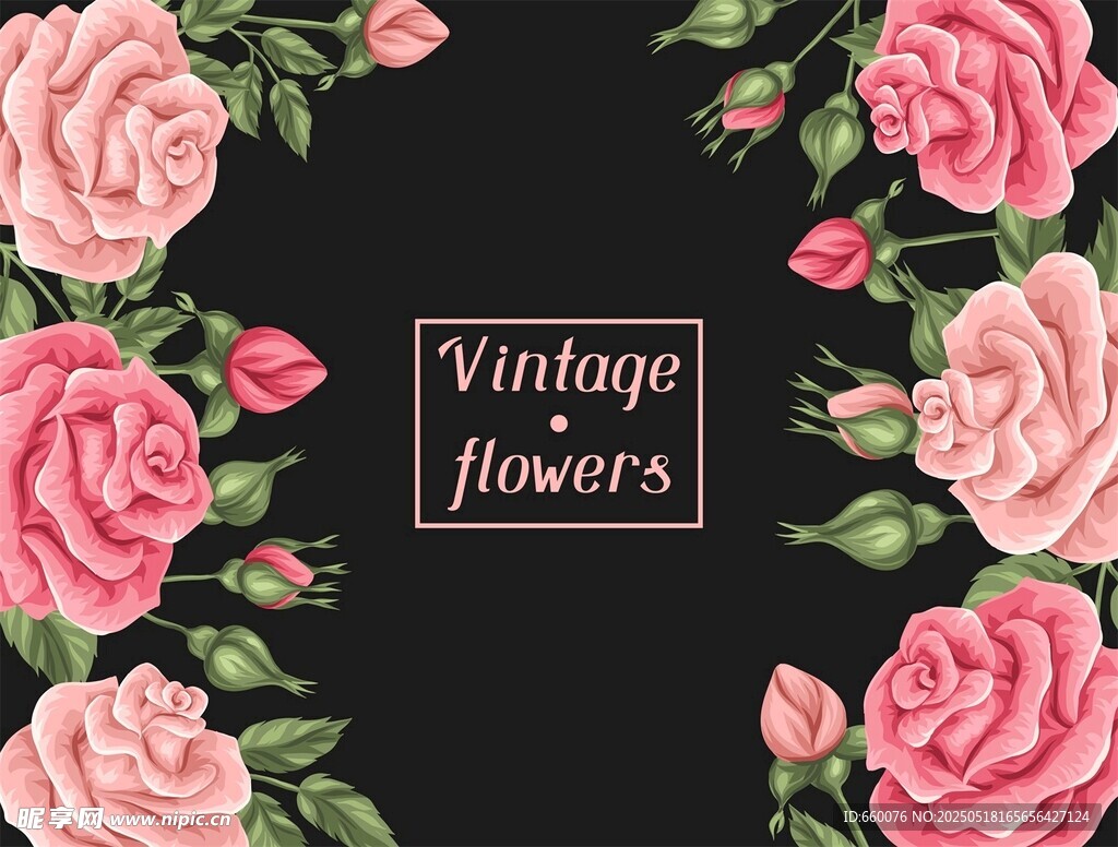 玫瑰 花朵 圖案 背景 矢量 