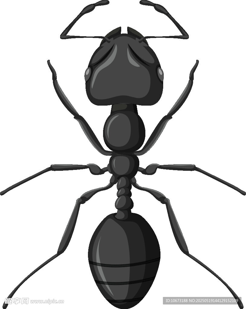 黑色螞蟻插畫