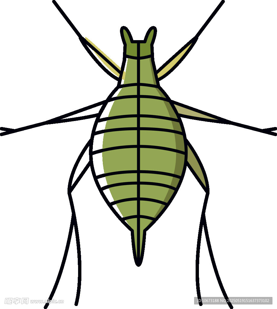 綠色條紋昆蟲插畫