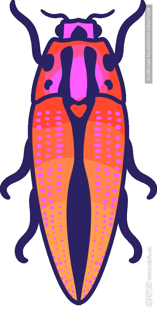 彩色甲蟲插畫