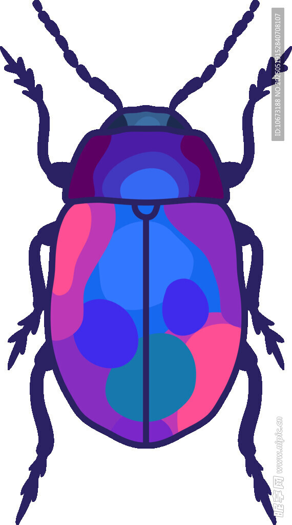 彩色甲蟲插畫